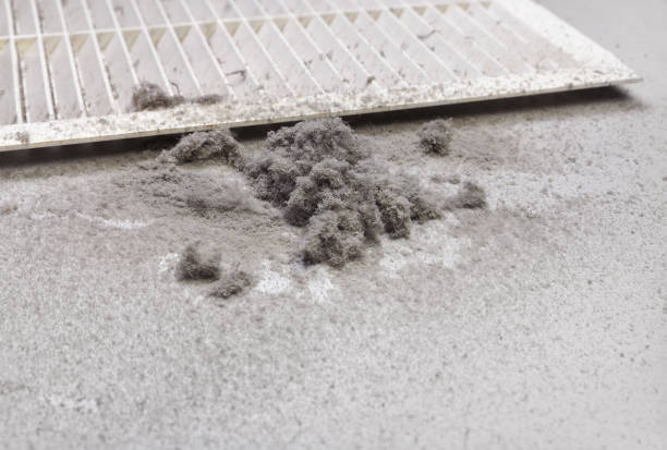 HVAC System Cleaning in LA
