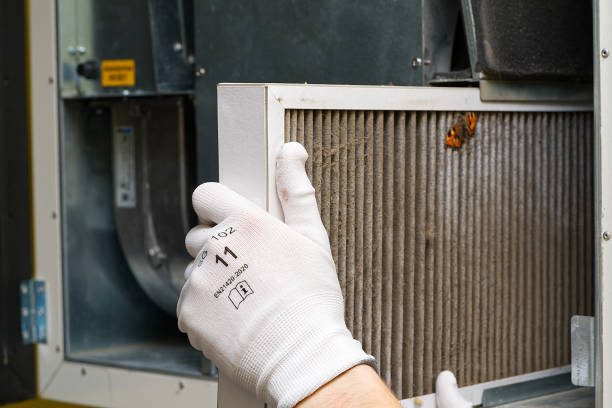 Best Air Duct Cleaning Near Me  in Ville Ptte, LA
